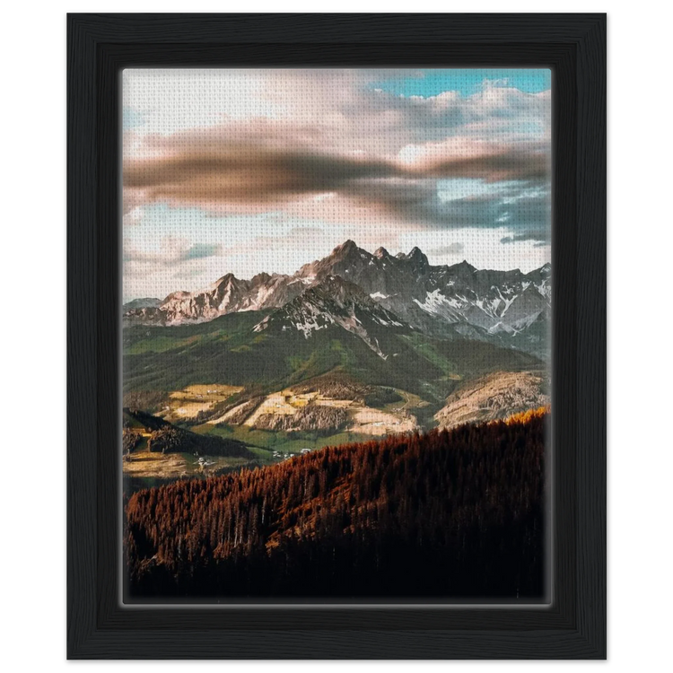 Framed Canvas