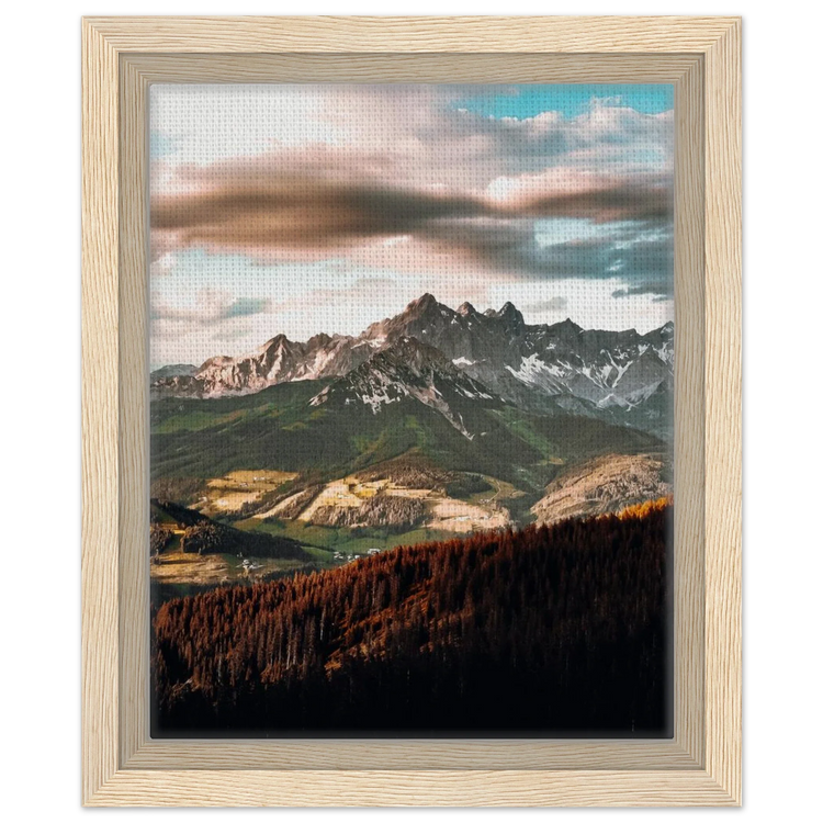 Framed Canvas