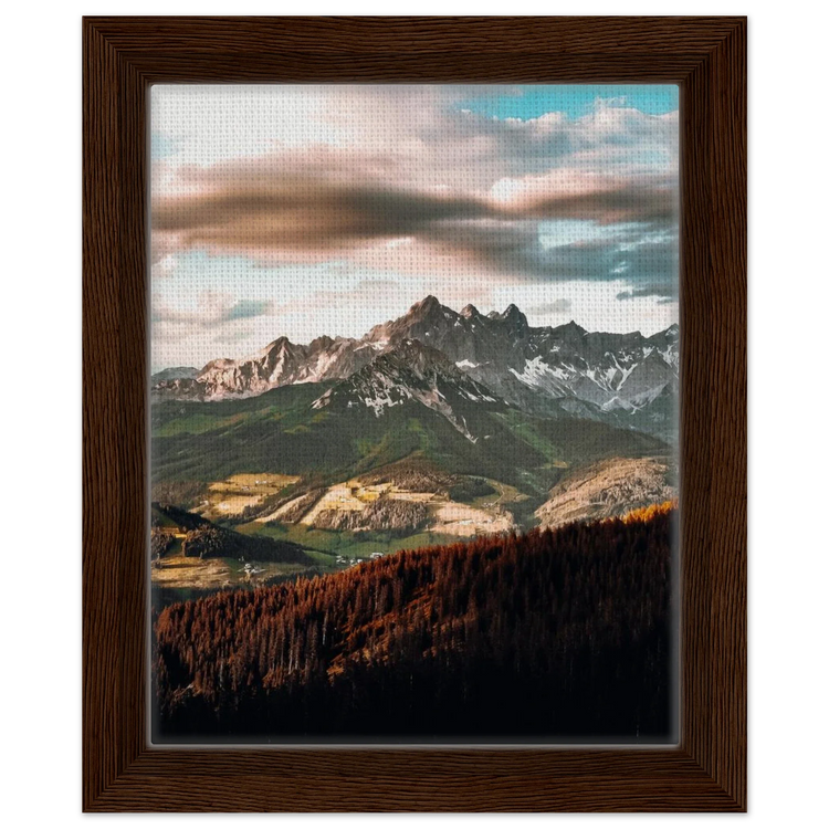 Framed Canvas