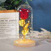 Eternal Rose LED Light in Glass - Romantic Valentine&