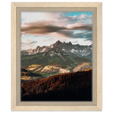 Framed Canvas