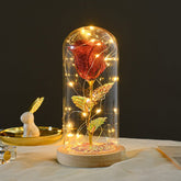 Eternal Rose LED Light in Glass - Romantic Valentine&
