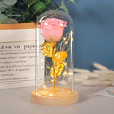 Eternal Rose LED Light in Glass - Romantic Valentine&
