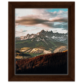 Framed Canvas