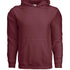 Adult Heavy Blend Hoodies