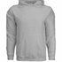Adult Heavy Blend Hoodies