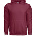 Adult Heavy Blend Hoodies