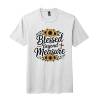 ndm:2235710perfect tri tee blessed beyond measure